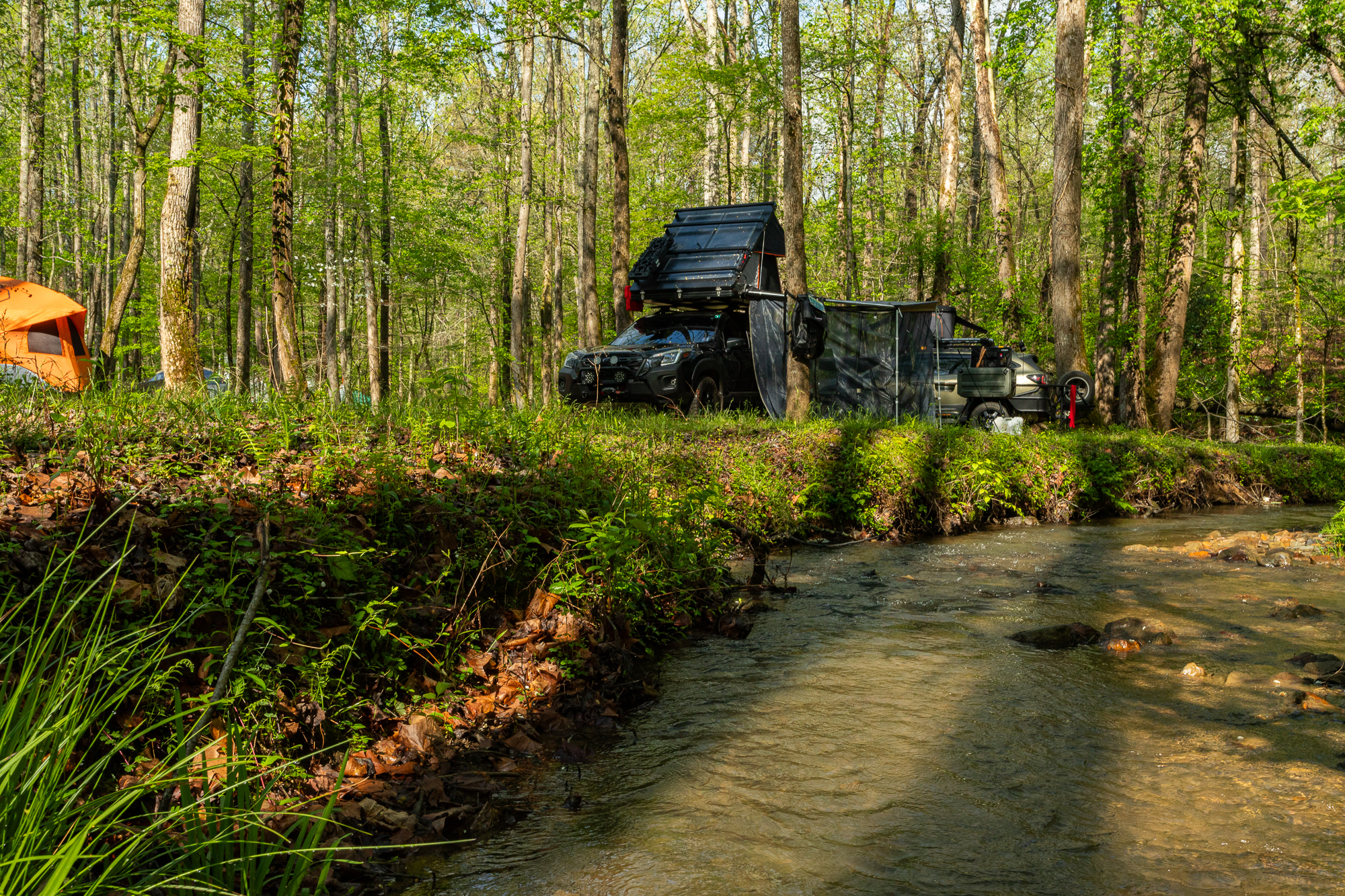 AVR trail vehicle in the woods