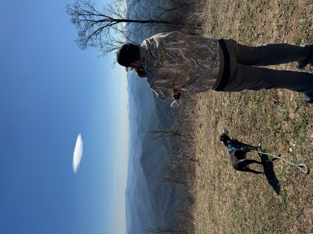 Brooks overlooking the mountains